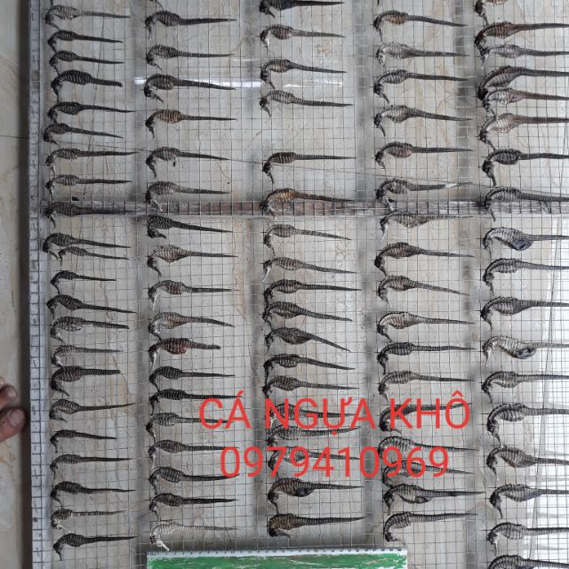 Cá Ngựa Khô - Cá Ngựa Ngâm Rựu - Hải Mã Khô tặng kèm 1 hải long