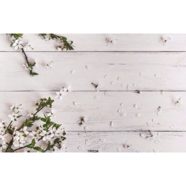 Phong hình chụp sản phẩm 