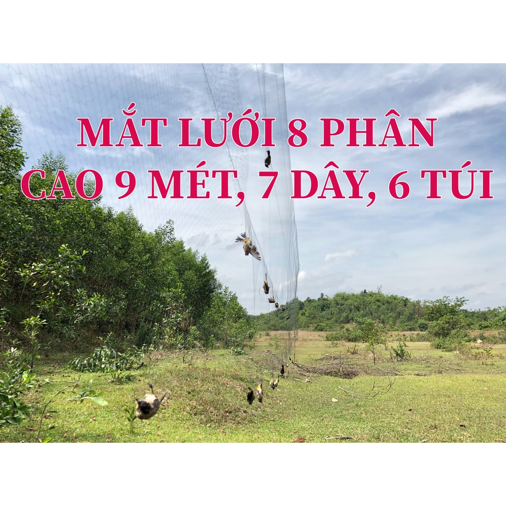 30m lưới 8p  bẫy cu gáy, sáo,vẹt ,rẽ giun ,cò , quốc , vẹt két, tổng hợp chim ngày đêm.