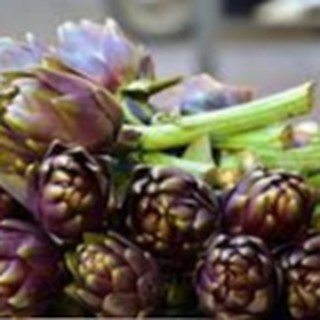 10H - HẠT GIỐNG ATISO TÍM