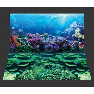 Tranh phông nền dán hồ cá, bể thủy sinh Aquarium tank - 036