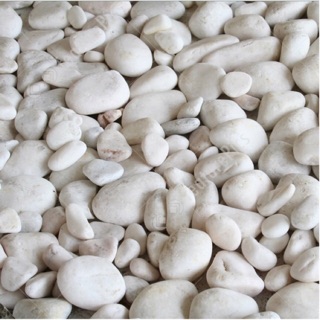 SỎI TRẮNG TRANG TRÍ 1000G