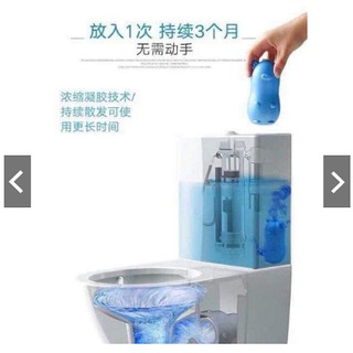 Lọ thả bồn cầu con heo