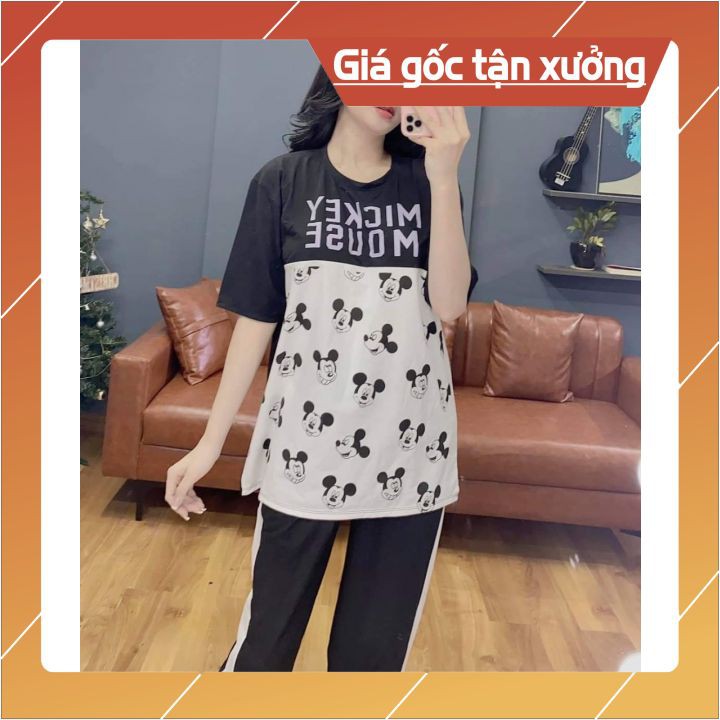 Set bộ thun cotton ❤️Mẫu mới❤️ Quần dài bo thun trẻ trung, năng động, freesize 60kg