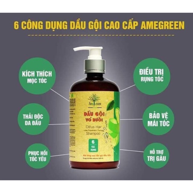 Dầu gội Vỏ Bưởi cao cấp AmeGreen - Trị rụng tóc, hói đầu (600ml)