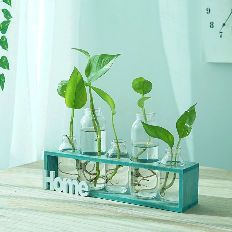 [Mẫu mới về] Bình Hoa Thủy Tinh Home Đơn Giản trồng Cây Thủy Canh  Cắm Hoa decor Trang Trí Nhà Phòng Khách