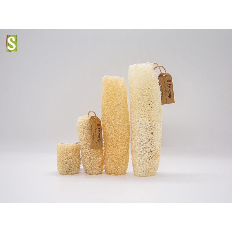 Xơ Mướp Khô Tự Nhiên Sinh Dược – HUNOXA