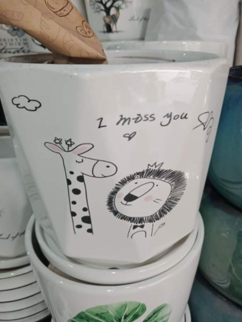 Bộ 3 chậu có đĩa