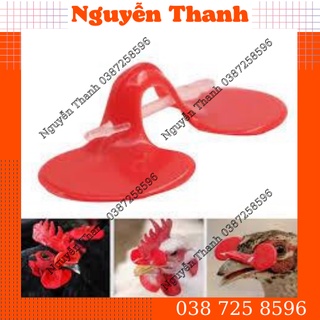 100 kính đeo mắt cho gà