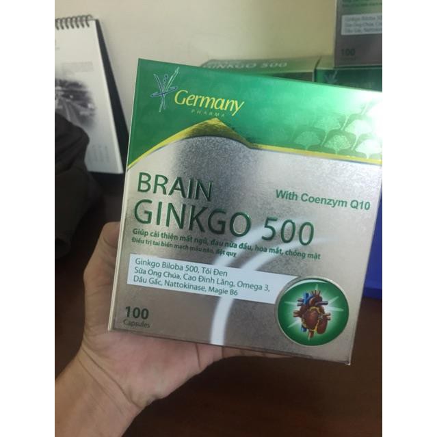 BRAIN Ginkgo 500-Giúp hoạt huyết, tăng cường lưu thông máu | BigBuy360 - bigbuy360.vn