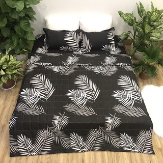 Chăn hè chần bông mỏng poly cotton