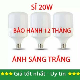 Combo bộ 2 bóng đèn led 20w ánh sáng trắng