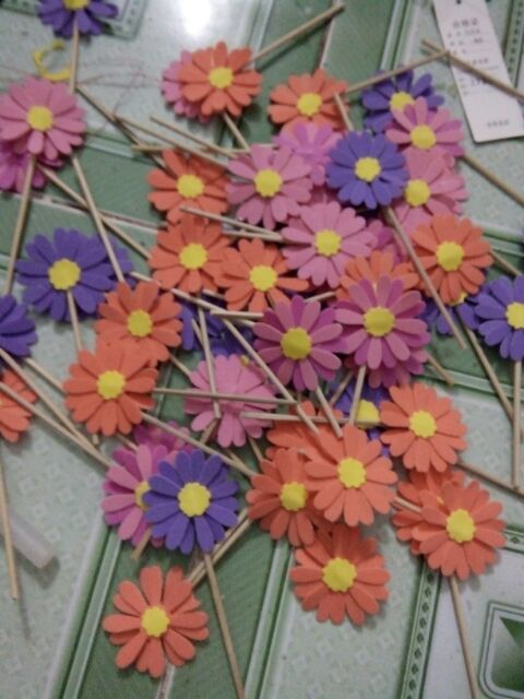 Hoa bé ngoan cúc nhỏ xinh yêu