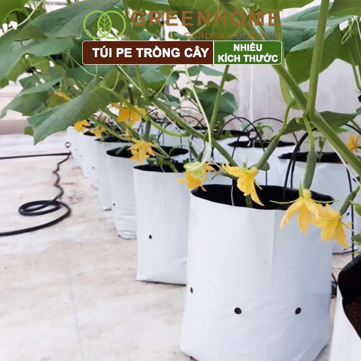 Túi PE trồng cây, 17x33cm, 2 lớp, chống UV tiện lợi, độ bền 1,5 năm, trồng rau, hoa, dâu tây |Greenhome