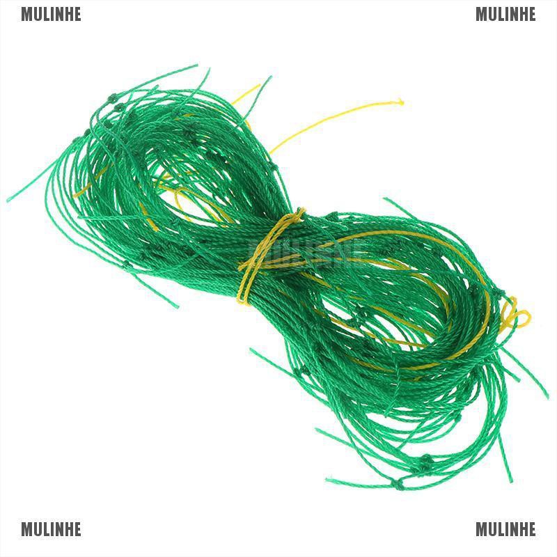 Lưới Nylon Hỗ Trợ Trồng Cây Dây Leo Cho Sân Vườn