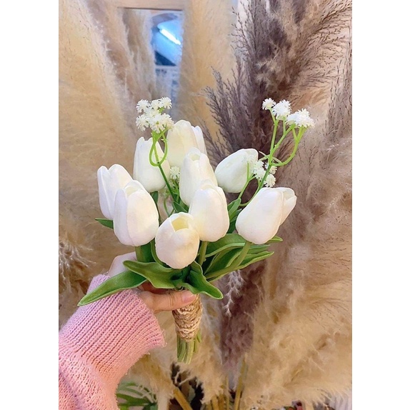 Hoa tulip siêu mềm thơm màu sắc siêu xinh