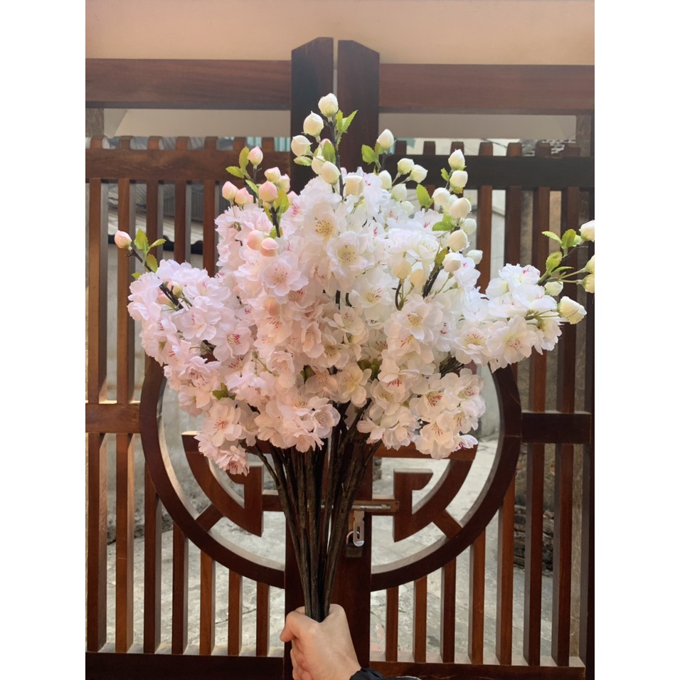 Hoa Anh Đào sẵn hai màu làm cây Decor hoặc cắm bình hoa trang trí không gian sống