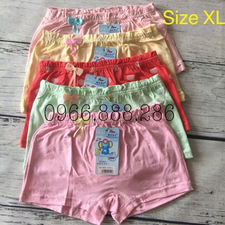 Combo 5 quần chíp đùi bé gái