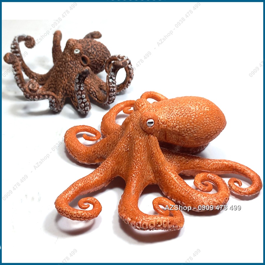 Mô Hình Bạch Tuộc Gai Sống Động  - 7703.6