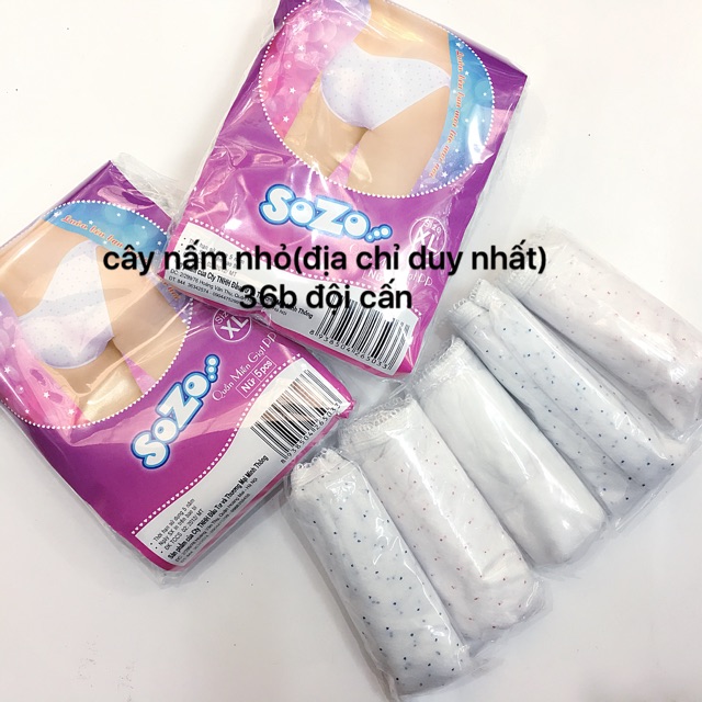 combo 2 túi-10c quần lót giấy