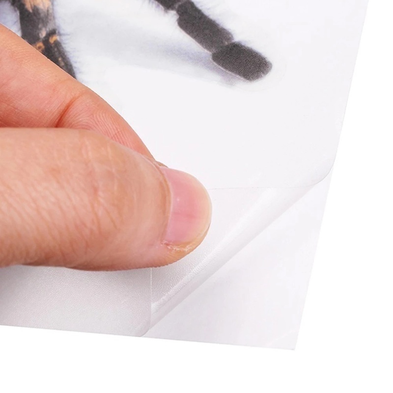 Miếng Dán Trang Trí Xe Hơi Hình Động Vật 3d Dễ Thương