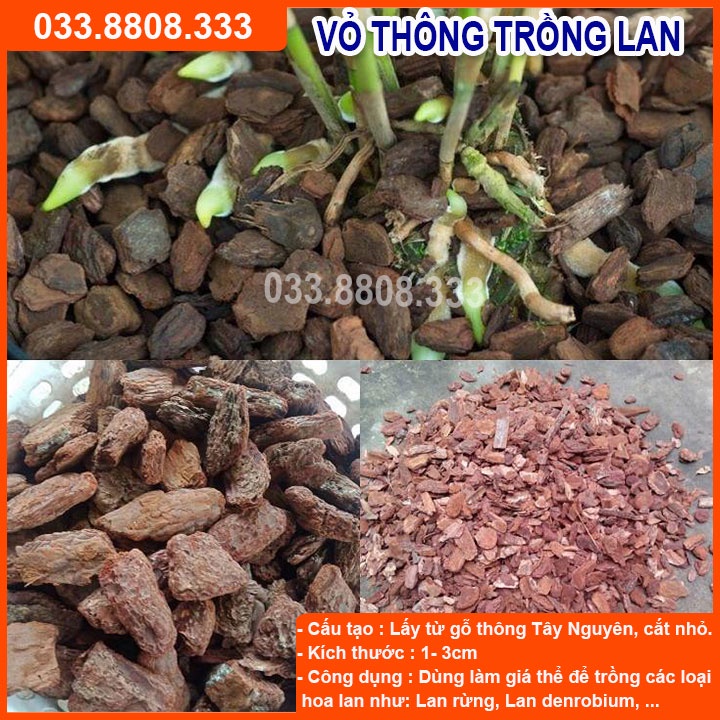 [Rẻ vô địch] Vỏ thông trồng lan loại đẹp Đã Xử Lý 1kg