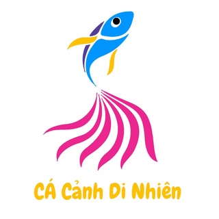 CÁ CẢNH DI NHIÊN