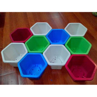 10 chậu lục giác 31 x 20 cm nhựa tốt