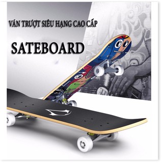Ván trượt cao cấp mặt nhám bánh cao su Đại Nam Sport (Chịu lực 120kg)