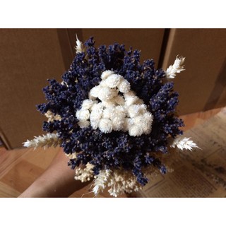 HOA LAVENDER NHẬP KHẨU PHÁP
