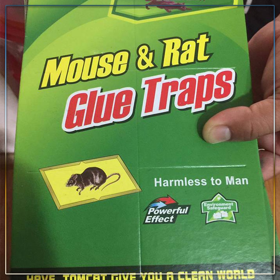 Bẫy Keo dính chuột Siêu Dính | Miếng keo dán chuột | Miếng bẫy chuột