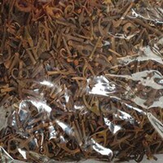 Cây Câu Đằng DV091