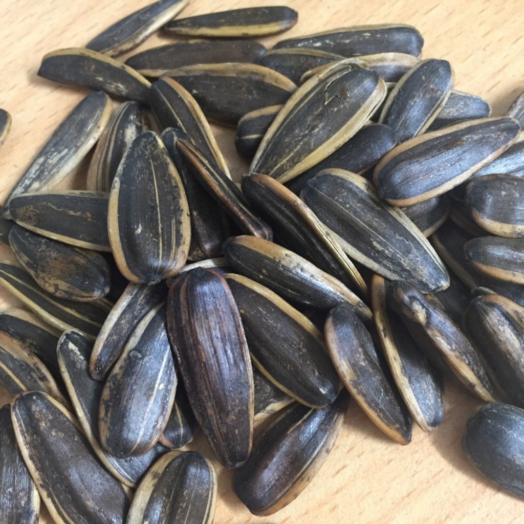 Hướng dương Việt Nhật  tẩm vị thơm ngon, bùi béo và bổ dưỡng- đồ ăn vặt Lodaz Sweet Thái Bình | BigBuy360 - bigbuy360.vn