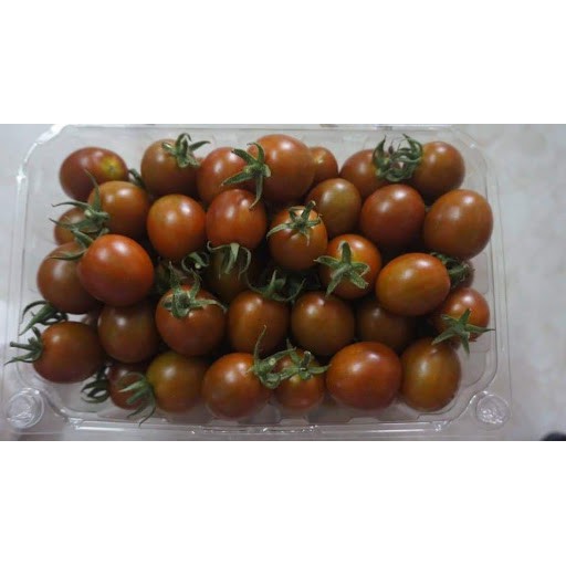 5H - HẠT GIỐNG CÀ CHUA CHOCOLA