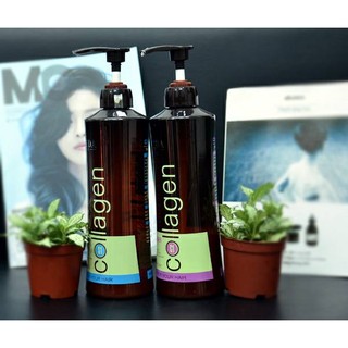 dầu gội collagen chỉ 150k/cặp