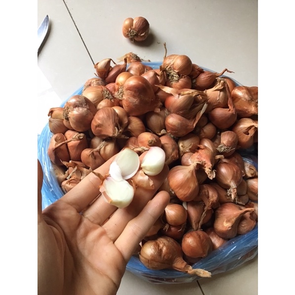 500g Hành Khô củ to đều thơm ngon - hành khô loại 1