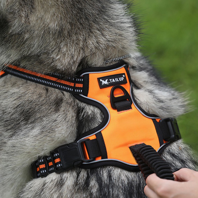 Yếm dắt chó to cao cấp Hipipet chất liệu oxford tay cầm trợ lực chống giật có đệm lưng phản quang