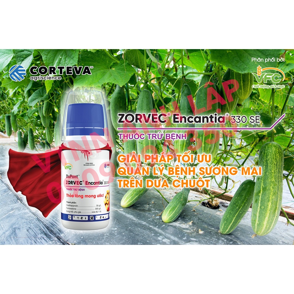 Thuốc trừ bệnh ZORVEC ENCANTIA 330SE 100ml – ĐẶC TRỊ BỆNH SƯƠNG MAI, ÚA SỚM, ÚA MUỘN, ĐỐM NÂU
