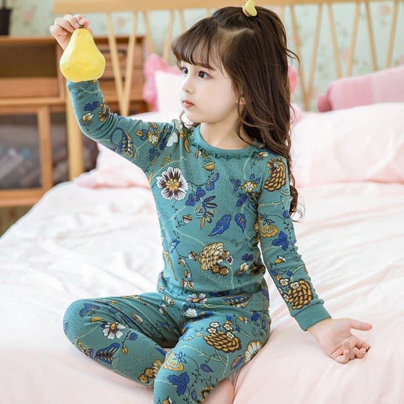Bộ quần áo thu đông bé gái chất đẹp cotton mềm mịn hàng Quảng Châu cao cấp họa tiết dễ thương - BTD1