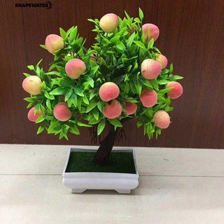 Cây bonsai nhân tạo thiết kế độc đáo dùng để trang trí sân vườn