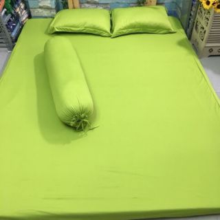 Bộ ga và áo gối 2m2x2m thun 1 màu