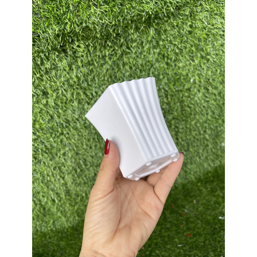 Chậu nhựa lục giác khía trắng tiểu cảnh_Chậu lúc giác sen đá để bàn xinh xắn