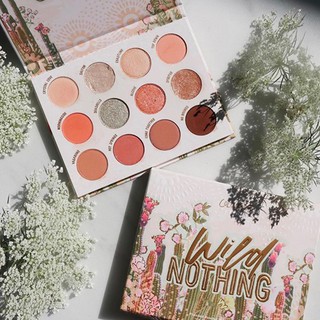 Bảng Phấn Mắt Colourpop Wild Nothing