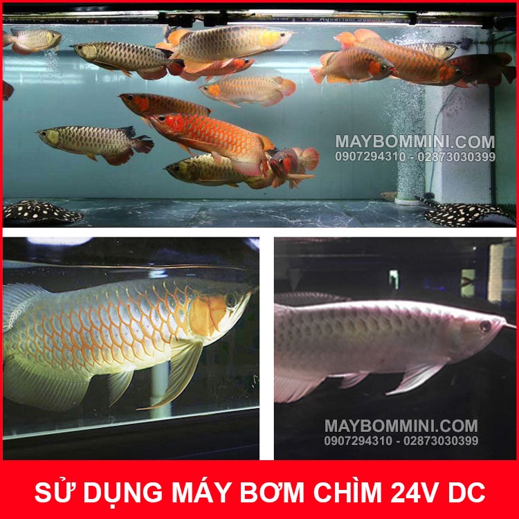 Máy bơm nước chìm 24V 24W 2000L SUNSUN JDP-2000 – kèm nguồn điện