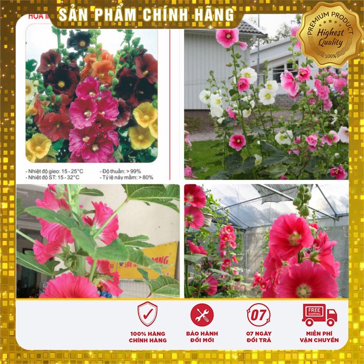 Hạt giống hoa mãn đỉnh hồng đơn mix