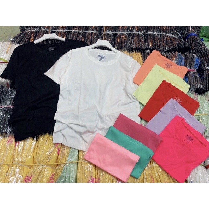 [Siêu hót]Áo thun giấy trơn cổ v- hình thật. alohashop91