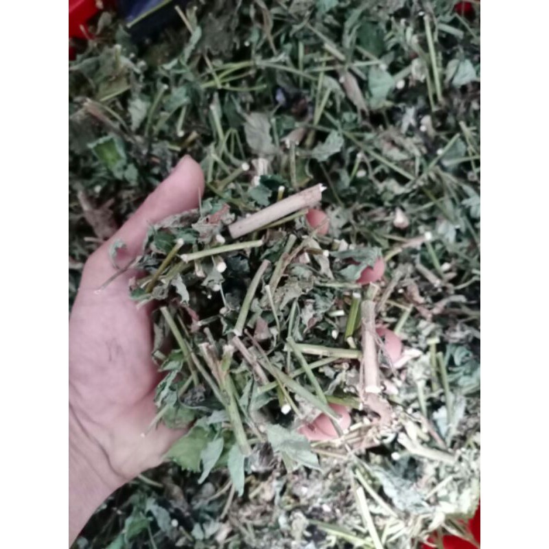 1kg Cây Đuôi Chuột Khô(mạch lạc)