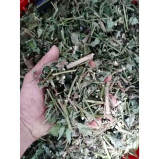 1kg cây đuôi chuột khô