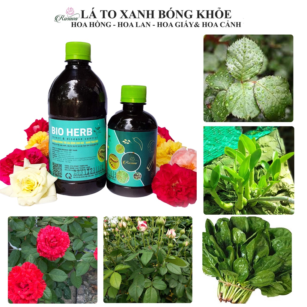 Chế phẩm sinh học thảo mộc ROSAVA phòng ngừa bọ trĩ, nhện, rệp, sâu và côn trùng trên cây cảnh, hoa hồng & hoa lan