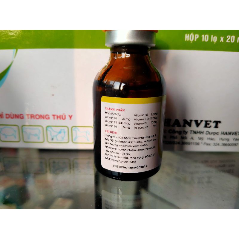 Vitamin Bcomplex tốt cho thú cưng, chó mèo, thiếu hụt vitamin,tăng lực, hồi sức